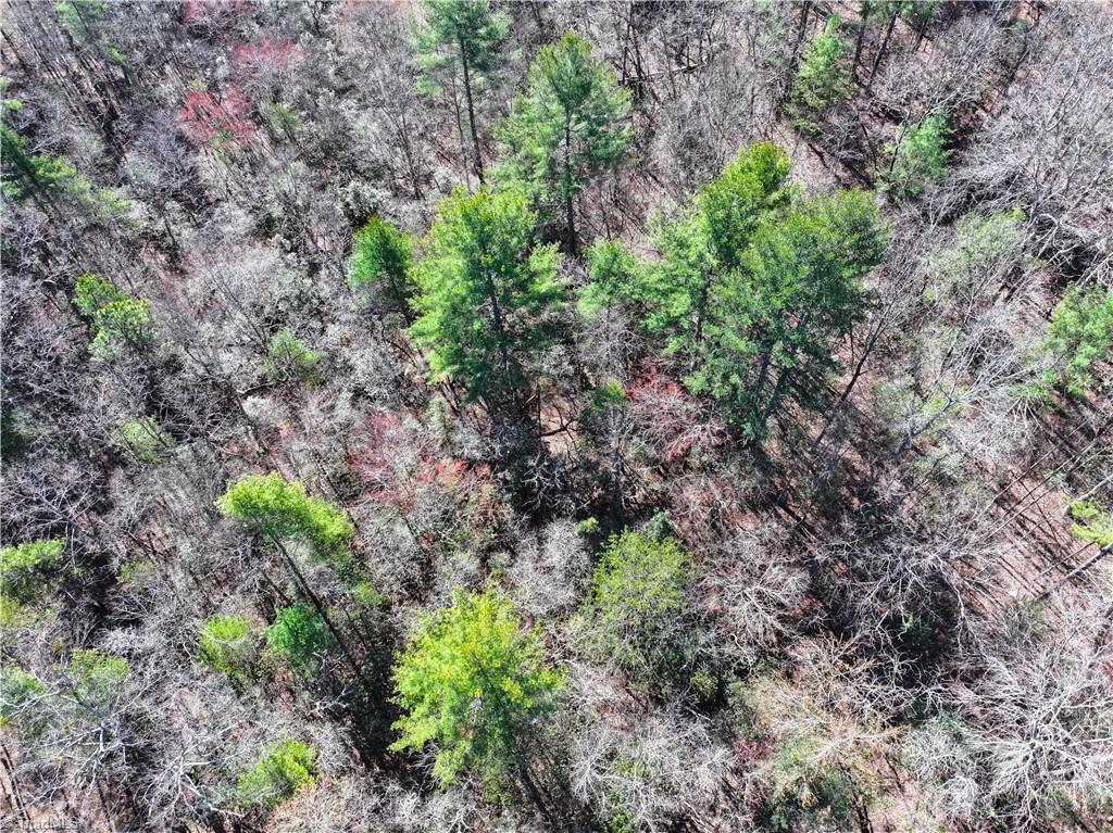 Tbd Flagstone Way Lowgap, NC 27024 - Photo 23 of 36