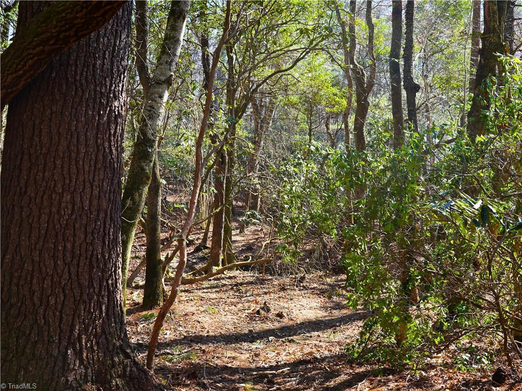 Tbd Flagstone Way Lowgap, NC 27024 - Photo 26 of 36