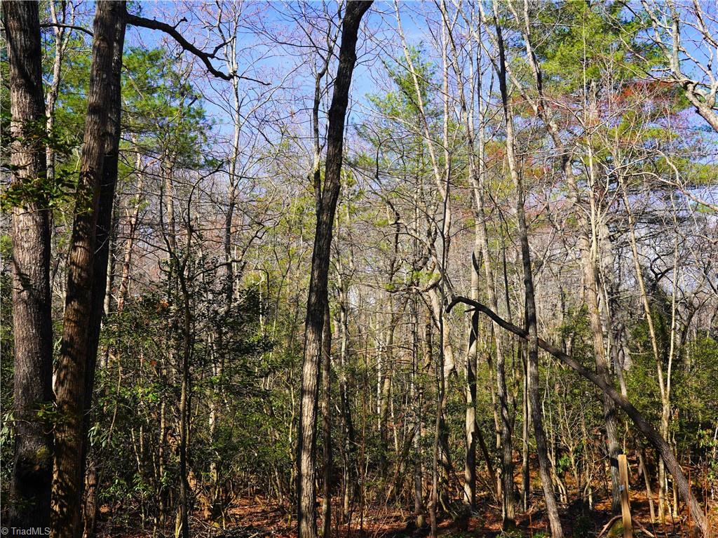 Tbd Flagstone Way Lowgap, NC 27024 - Photo 30 of 36