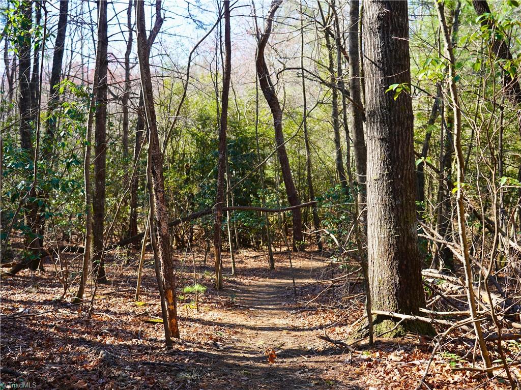 Tbd Flagstone Way Lowgap, NC 27024 - Photo 3 of 36