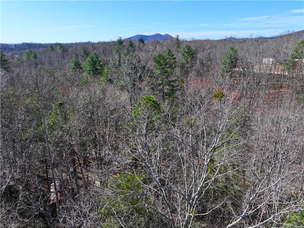 Tbd Flagstone Way Lowgap, NC 27024 - Photo 31 of 36