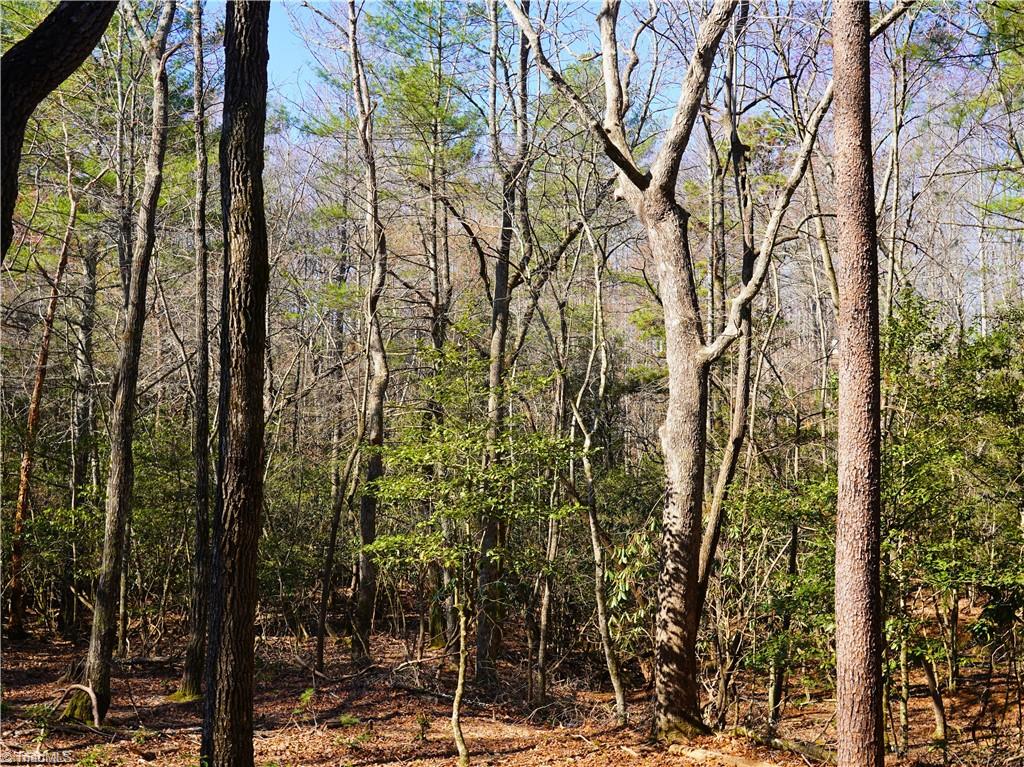 Tbd Flagstone Way Lowgap, NC 27024 - Photo 33 of 36