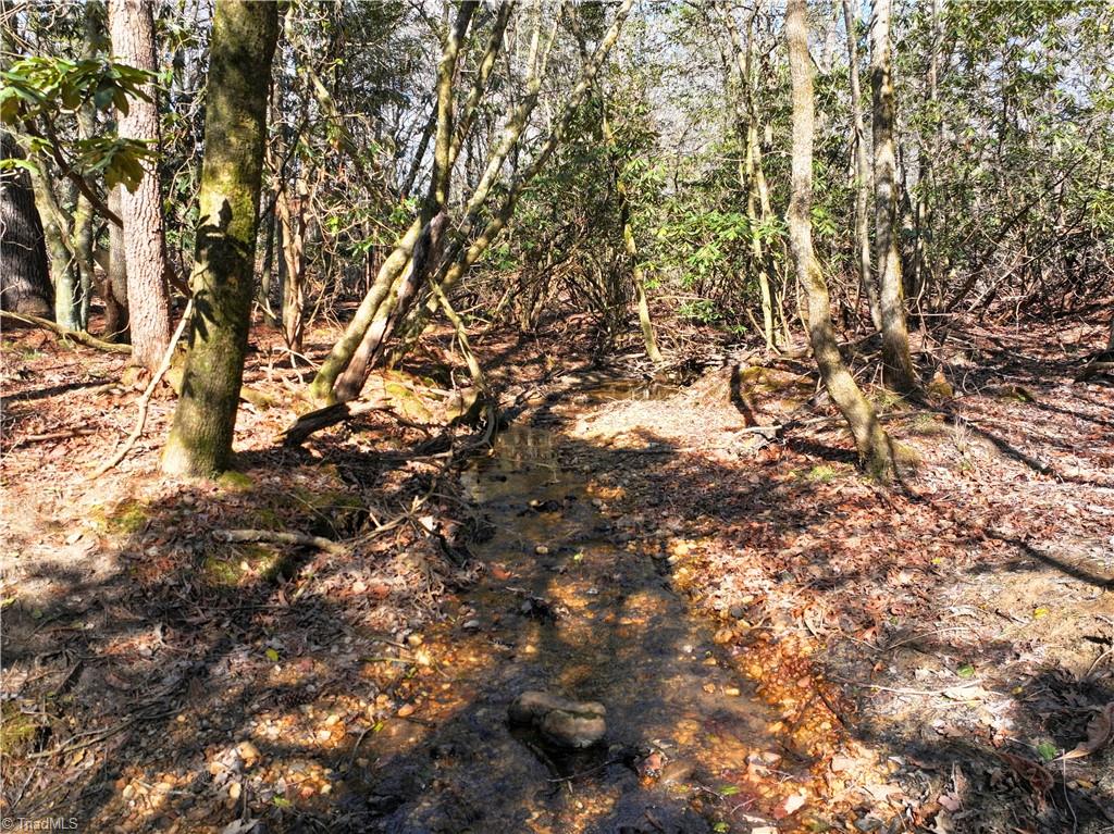 Tbd Flagstone Way Lowgap, NC 27024 - Photo 5 of 36