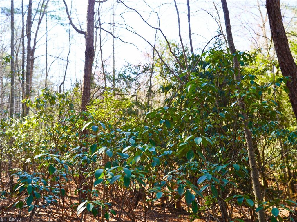 Tbd Flagstone Way Lowgap, NC 27024 - Photo 6 of 36