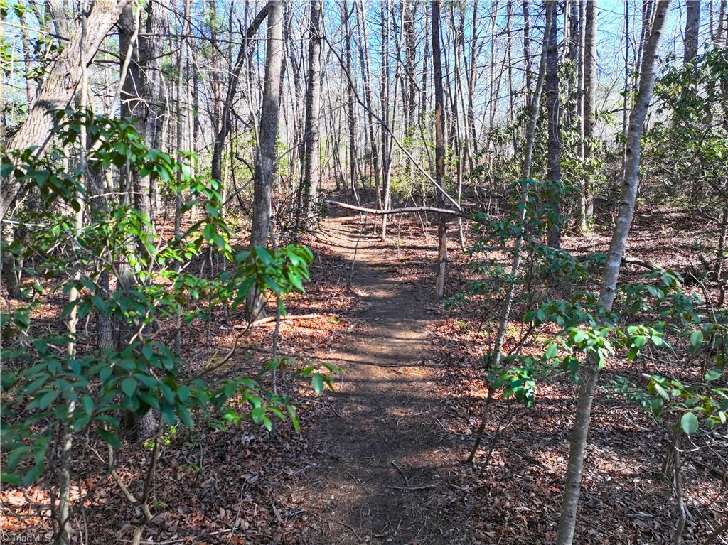 Tbd Flagstone Way Lowgap, NC 27024 - Photo 8 of 36
