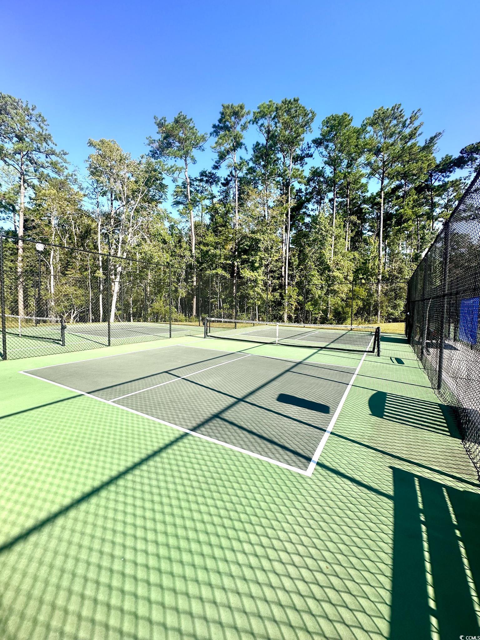 761 Dreamland Drive Murrells Inlet, SC 29576 - Photo 39 of 40