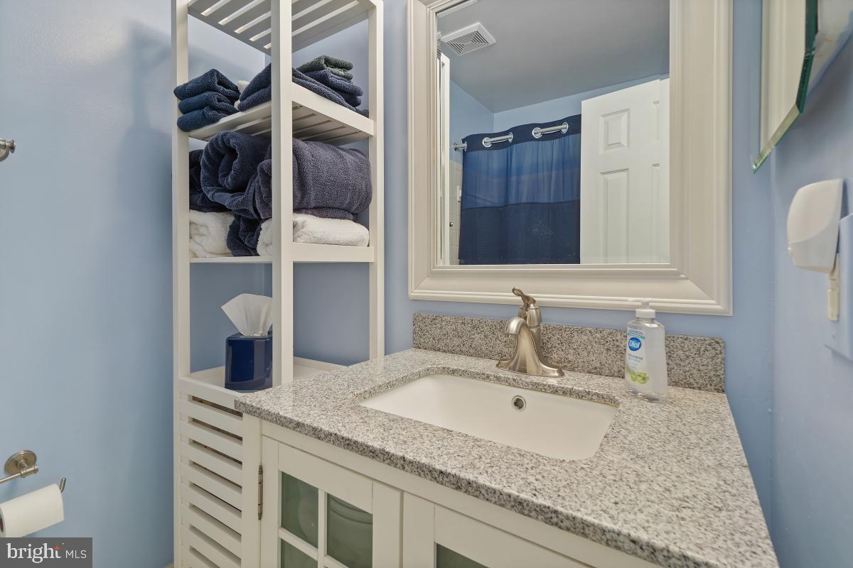 804 Amber Tree Court, Unit 804103 Gaithersburg, MD 20878 - Photo 20 of 30 Bathroom 2