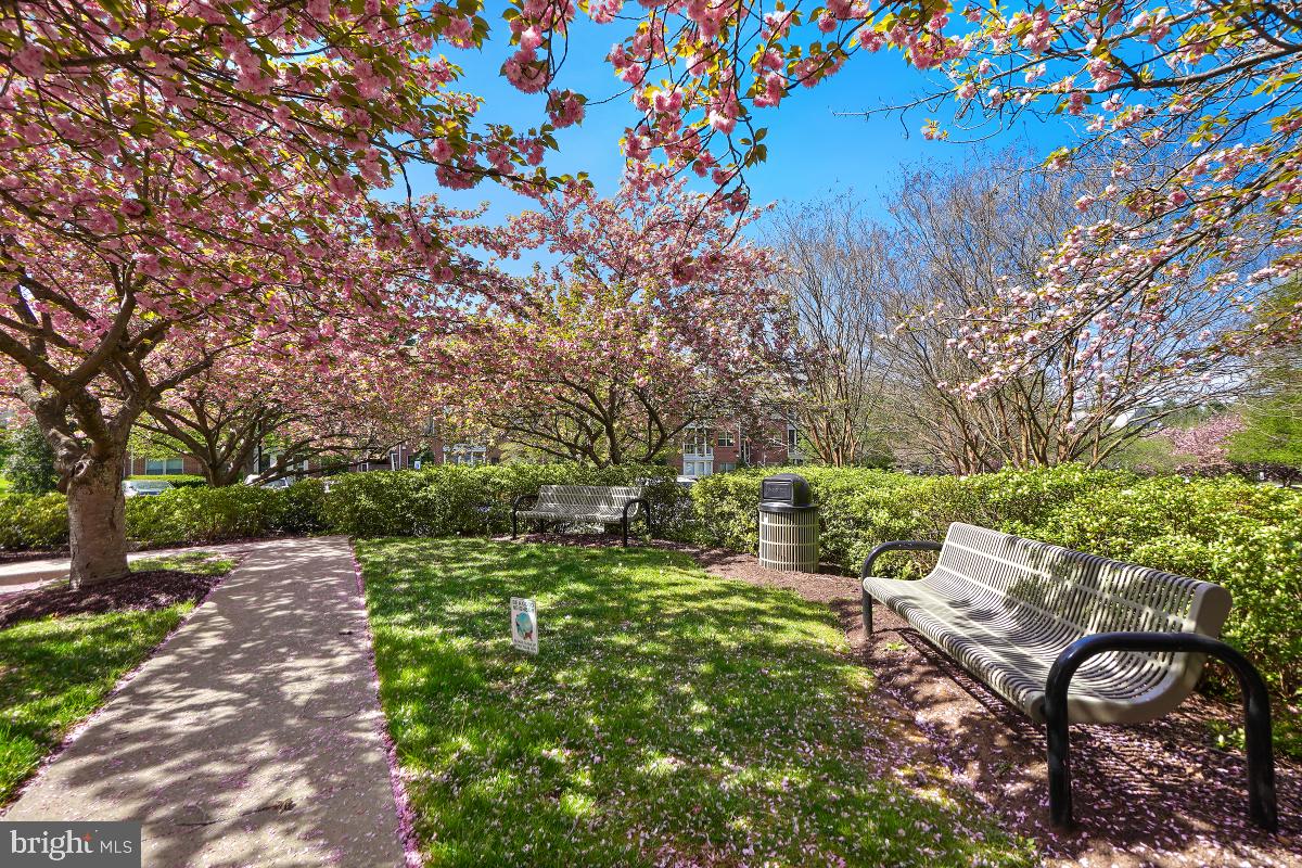 804 Amber Tree Court, Unit 804103 Gaithersburg, MD 20878 - Photo 28 of 30 Community