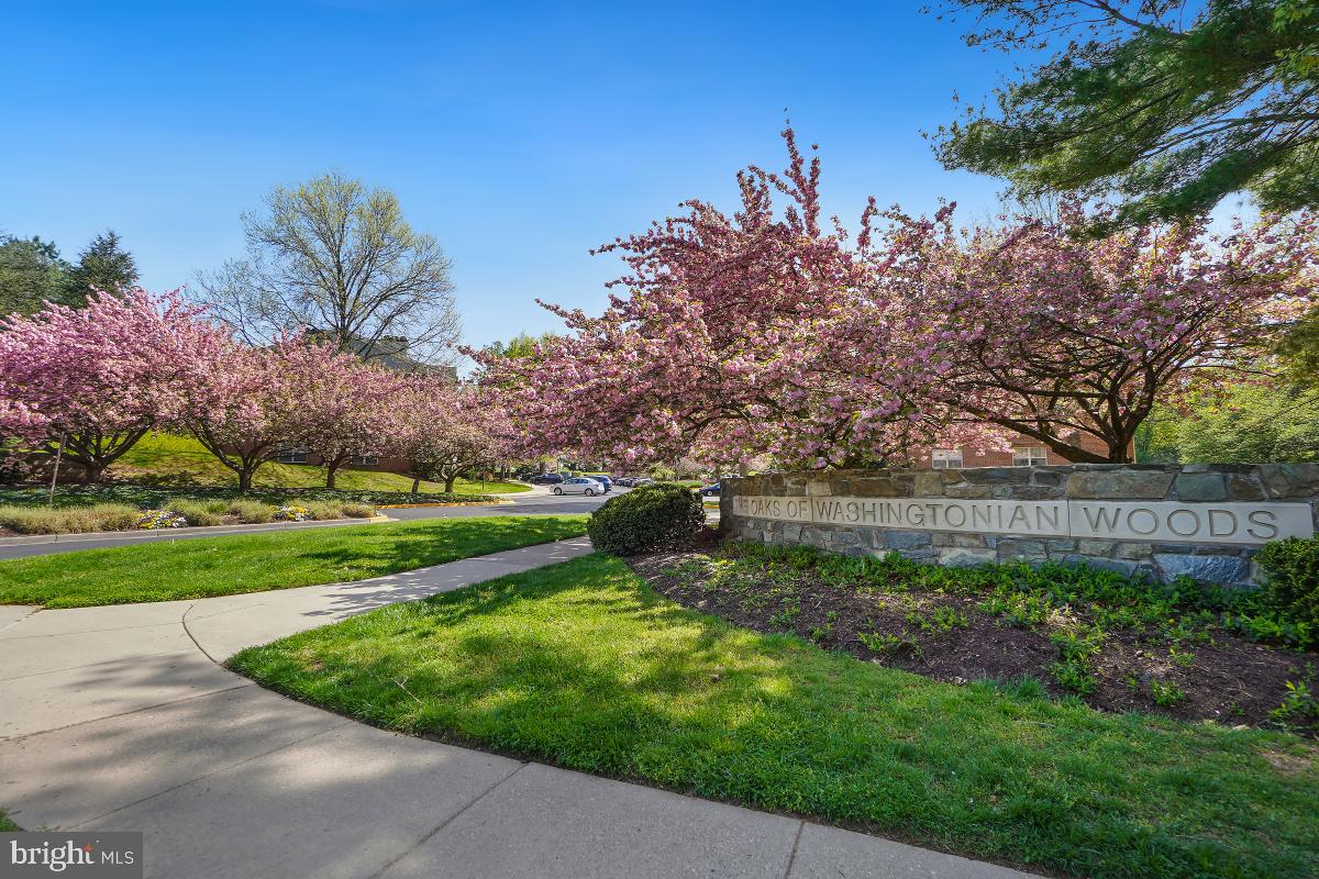 804 Amber Tree Court, Unit 804103 Gaithersburg, MD 20878 - Photo 29 of 30 Community