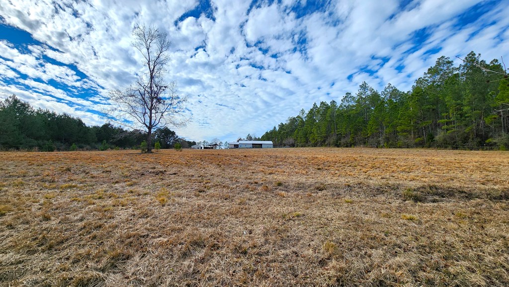 3662 Glen Chambers Road Florala, AL 36442 - Photo 15 of 48