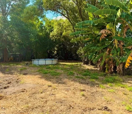 a view of a yard with a tree