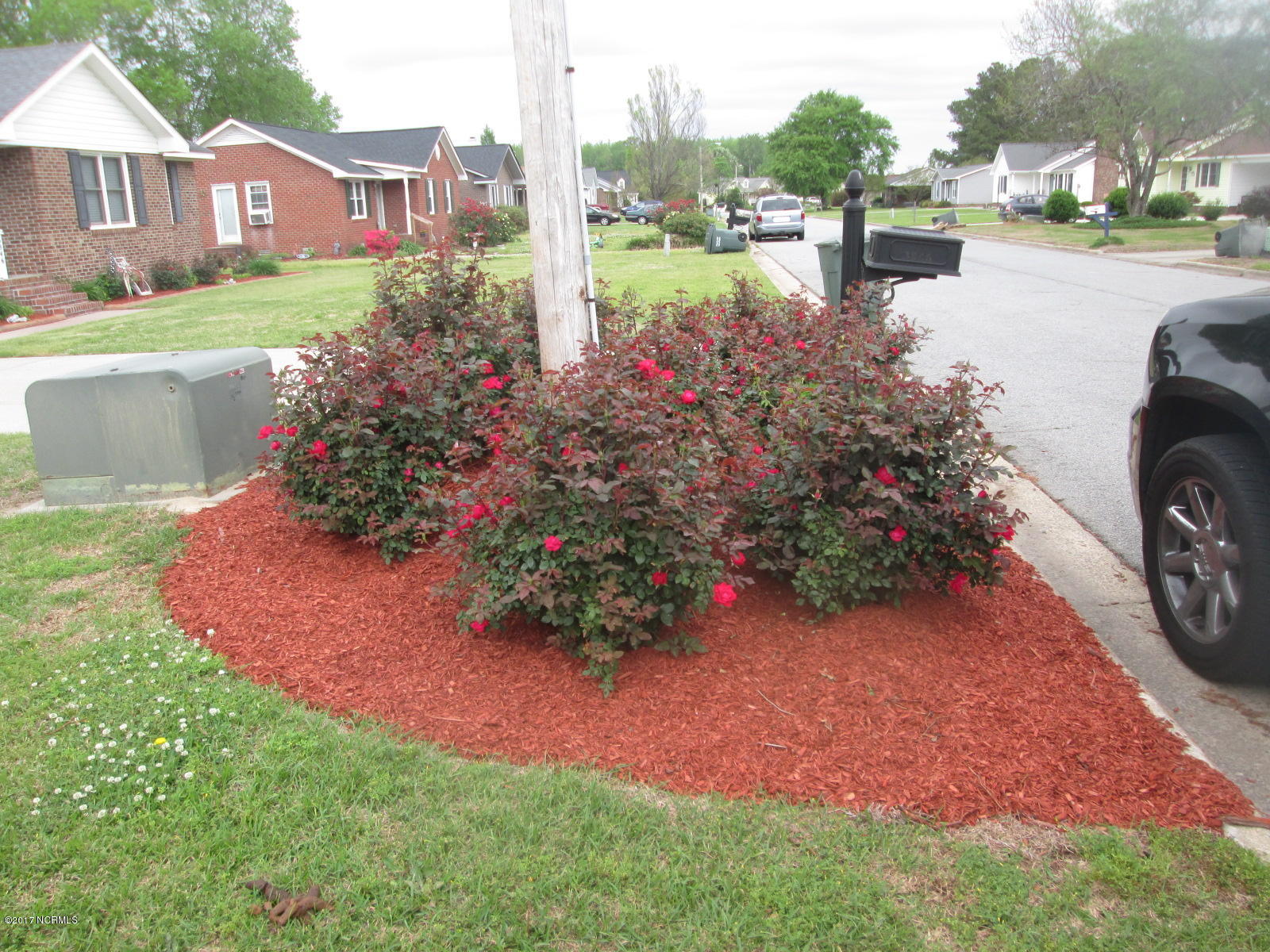 3852 Robin Road Ayden, NC 28513 - Photo 11 of 42 Robin roses