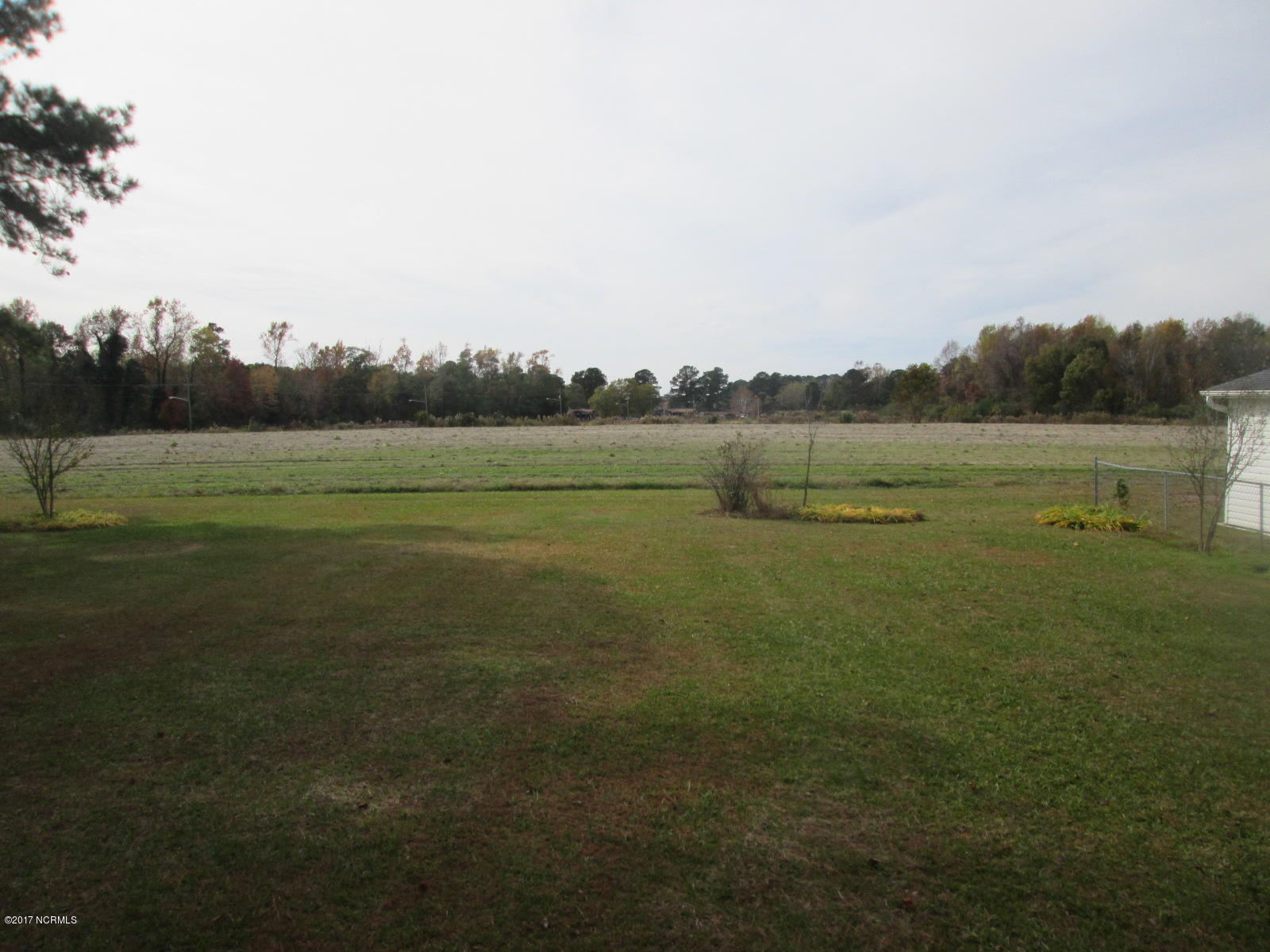3852 Robin Road Ayden, NC 28513 - Photo 40 of 42 back yard