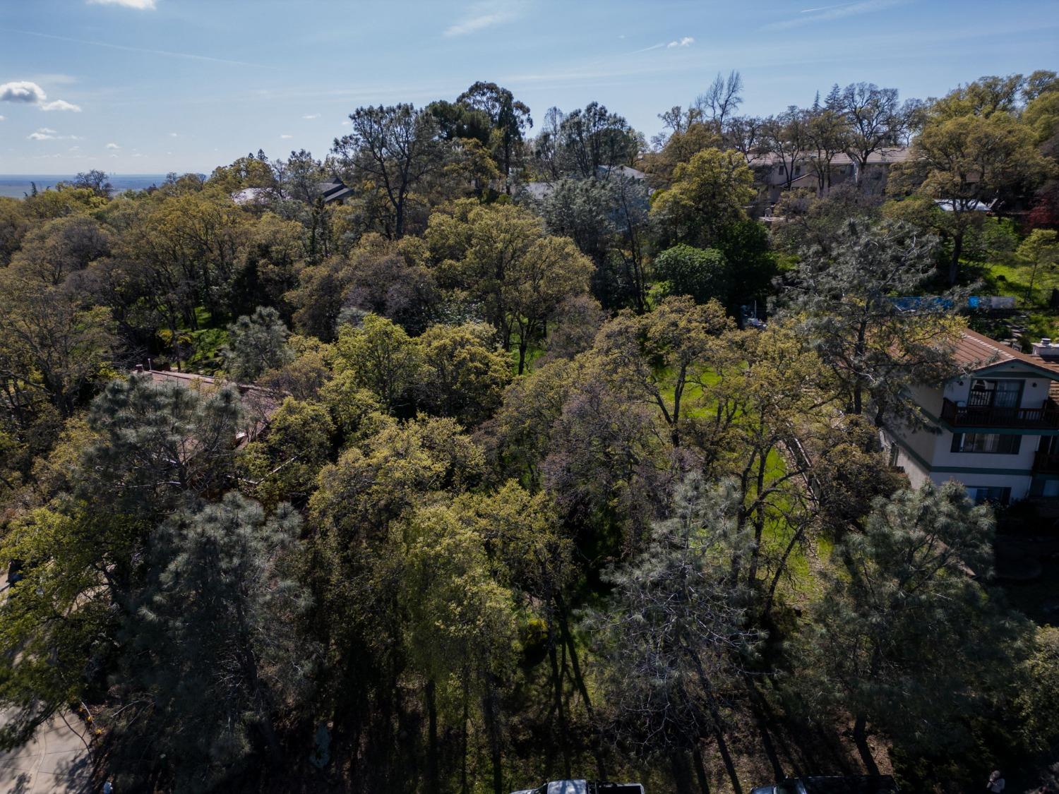 3518 Ridgeview Drive El Dorado Hills, CA 95762 - Photo 4 of 6 a view of a house with a street sign