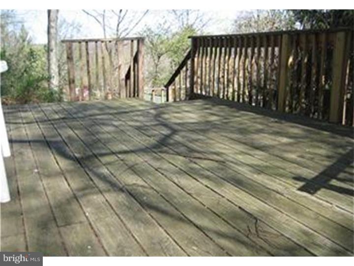 443 Irish Road Berwyn, PA 19312 - Photo 6 of 24 Deck