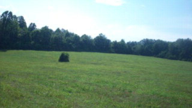 317 Wabe Jones Road Berea, KY 40403 - Photo 1 of 1 Photo 1