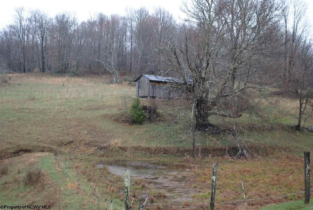 303 Boserman Farm Road Mabie, WV 26278 - Photo 19 of 20 Gallery Image 19