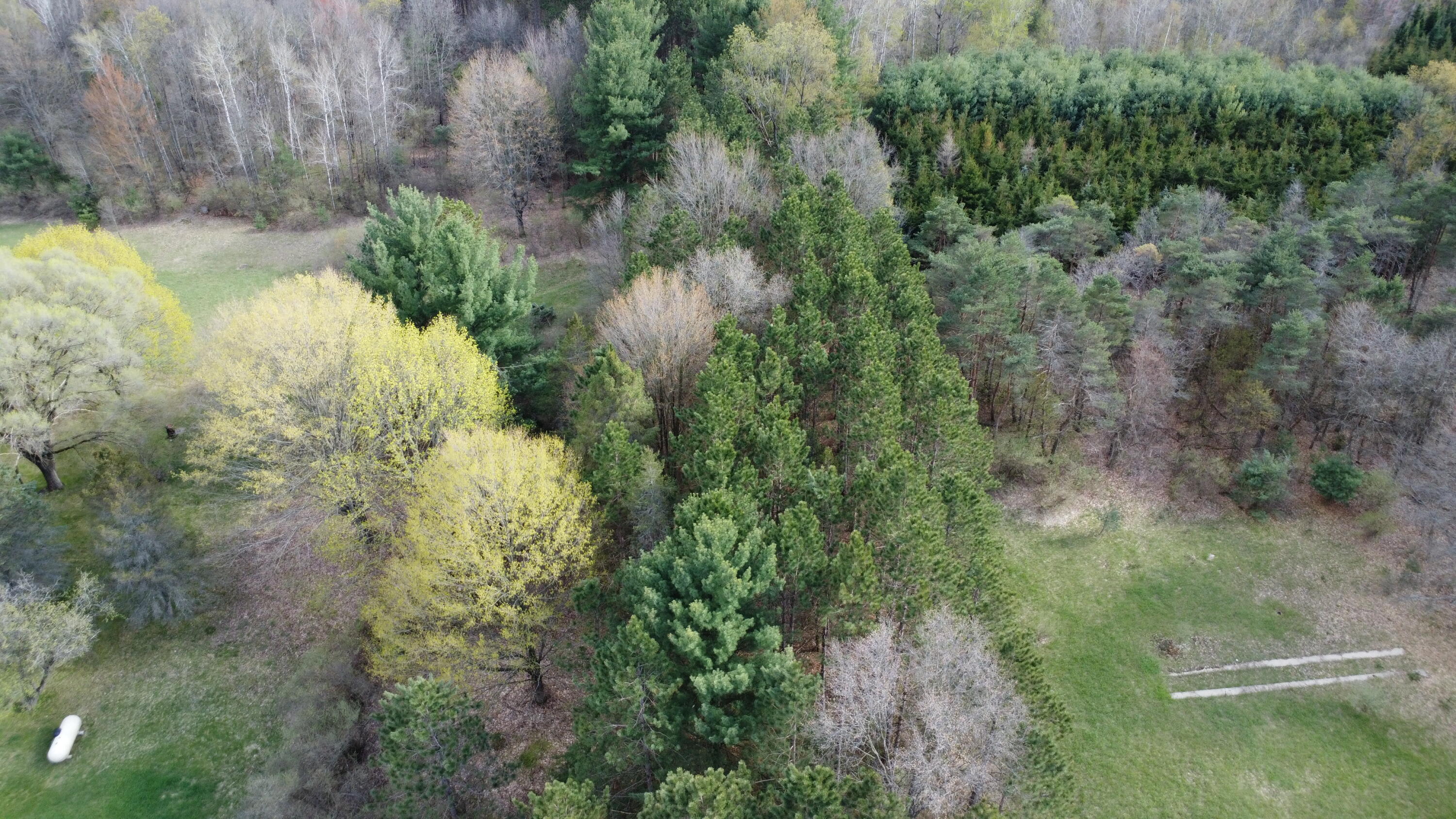 6455 East Rossell Lake Road Walkerville, MI 49459 - Photo 9 of 15 DJI_0061