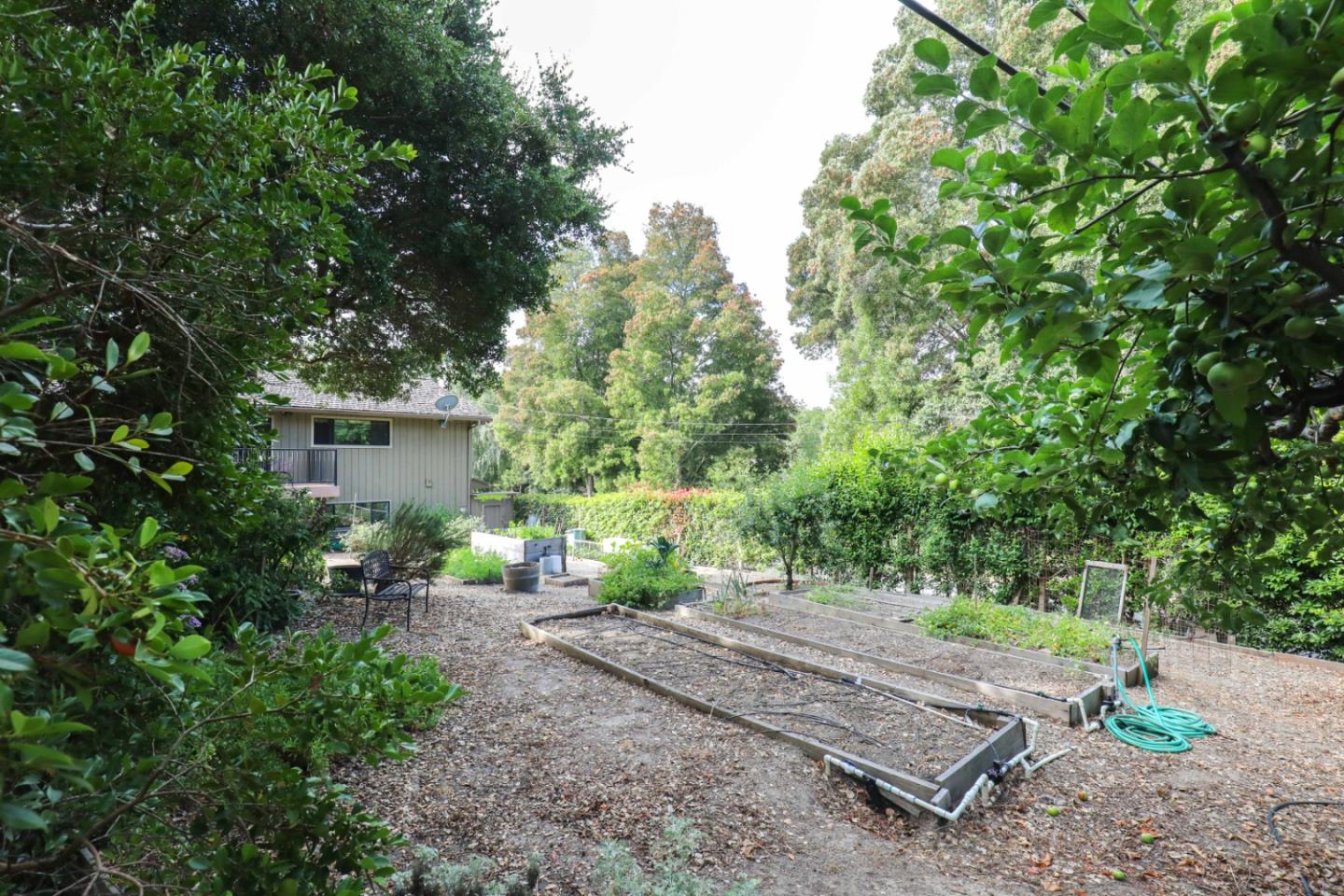 16 Westwood Road Santa Cruz, CA 95060 - Photo 43 of 46 a view of backyard with outdoor space