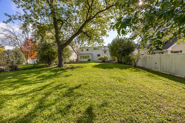 a view of a backyard with a large tree