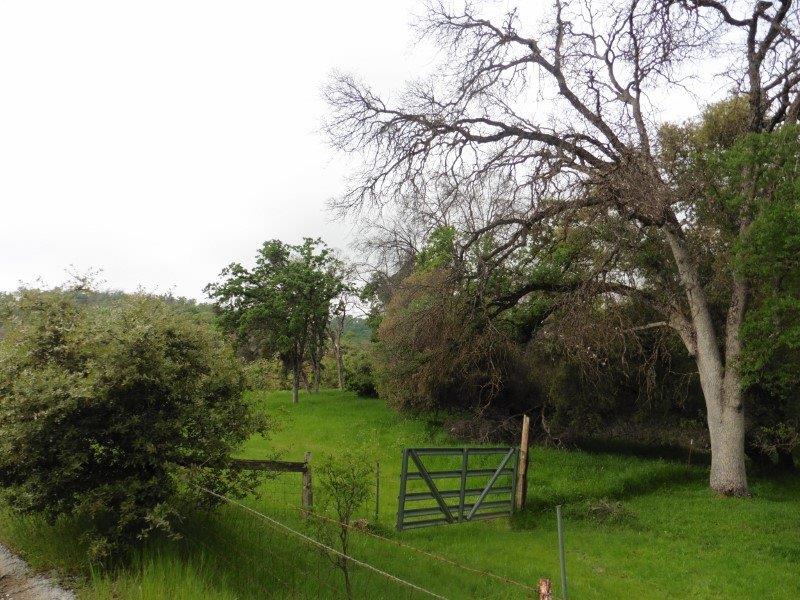 29527 Seminole Road Tollhouse, CA 93667 - Photo 7 of 19 Gallery Image 7