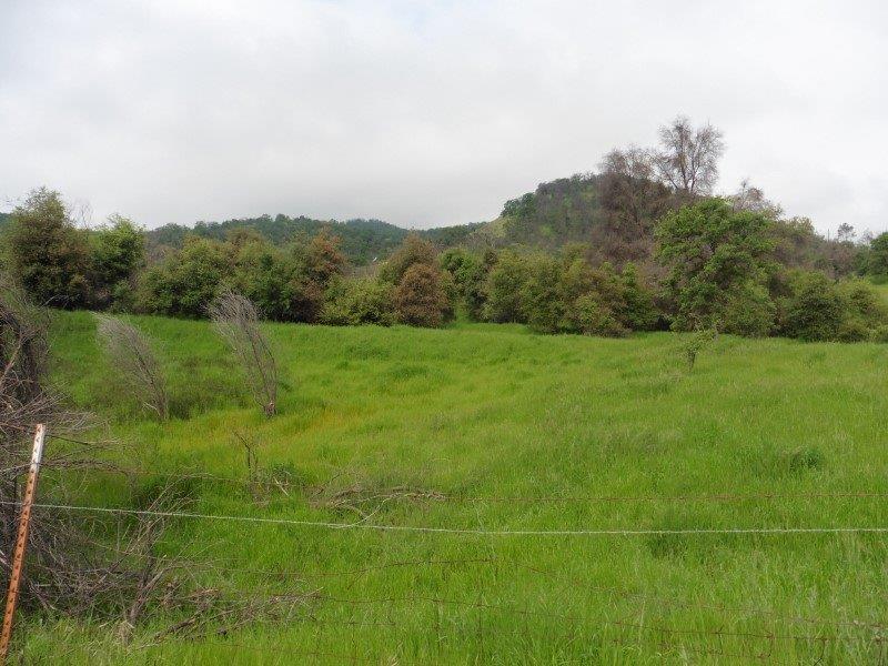 29527 Seminole Road Tollhouse, CA 93667 - Photo 8 of 19 Gallery Image 8