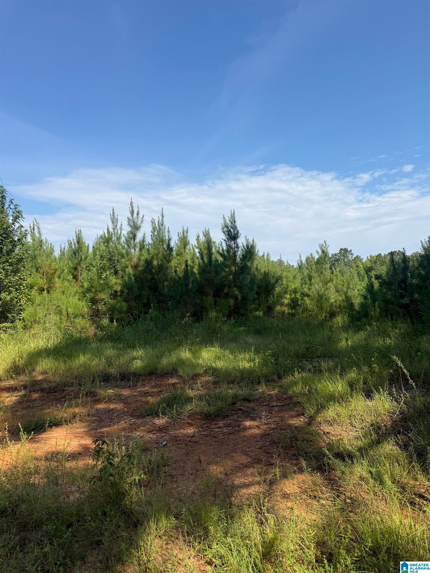 Lynn Bennett Road, Unit 20 Livingston, AL 35470 - Photo 6 of 7 Gallery Image 6
