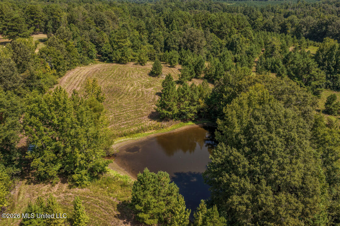 5056 Bethesda Road Crystal Springs, MS 39059 - Photo 13 of 48 DJI_20260818112223_0709_D