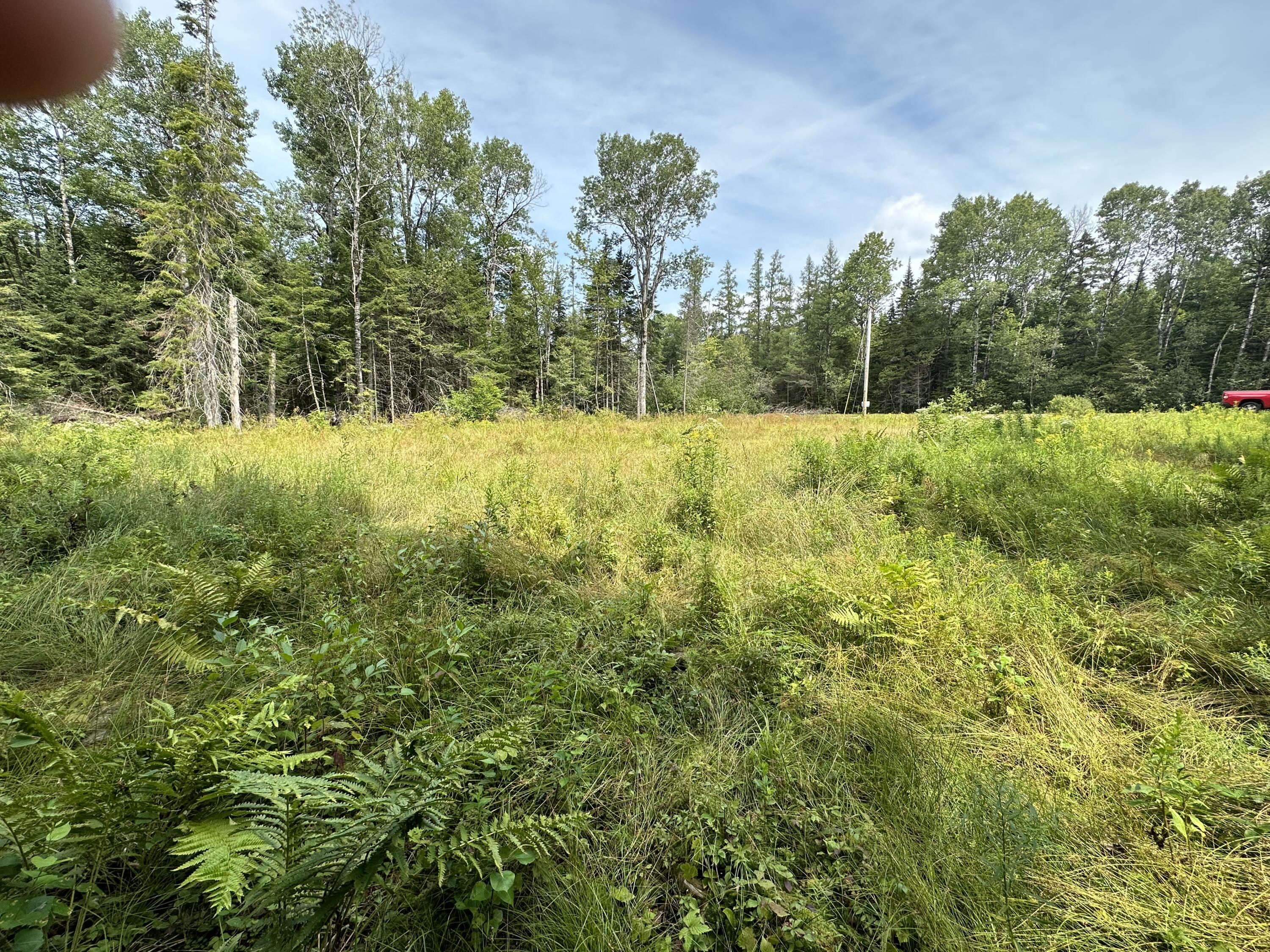 1687 County Rte 27 Owls Head, NY 12969 - Photo 5 of 6 Gallery Image 5