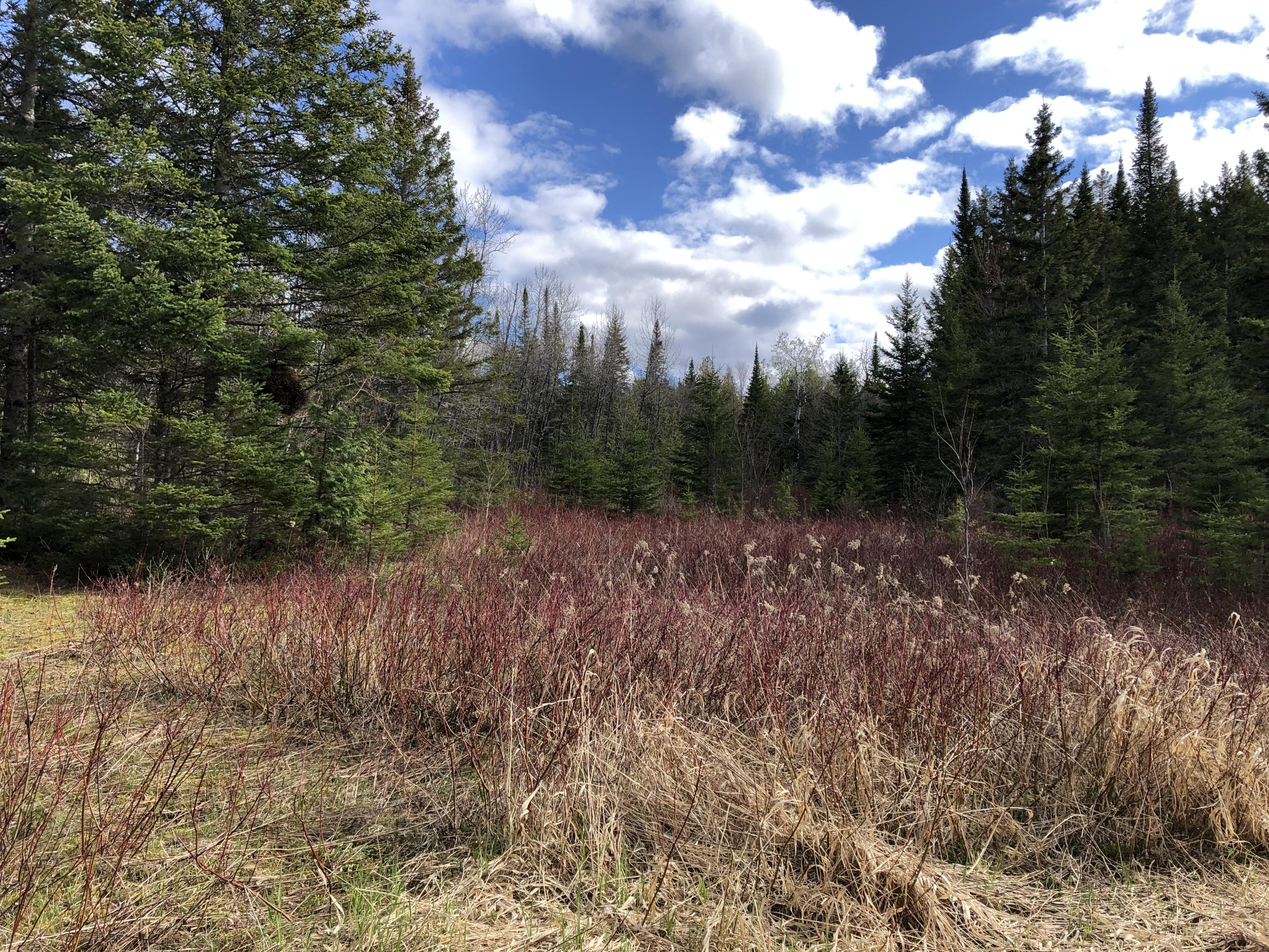 Map3-lot22 Campground Road Caribou, ME 04736 - Photo 10 of 14 Campground Hill Rd Caribou Land May 2021