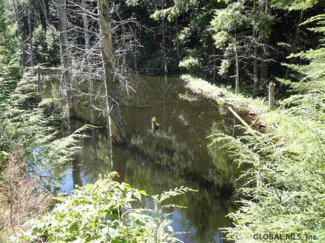 680 Old Furnace Road Crown Point, NY 12928 - Photo 6 of 8 Photo 6