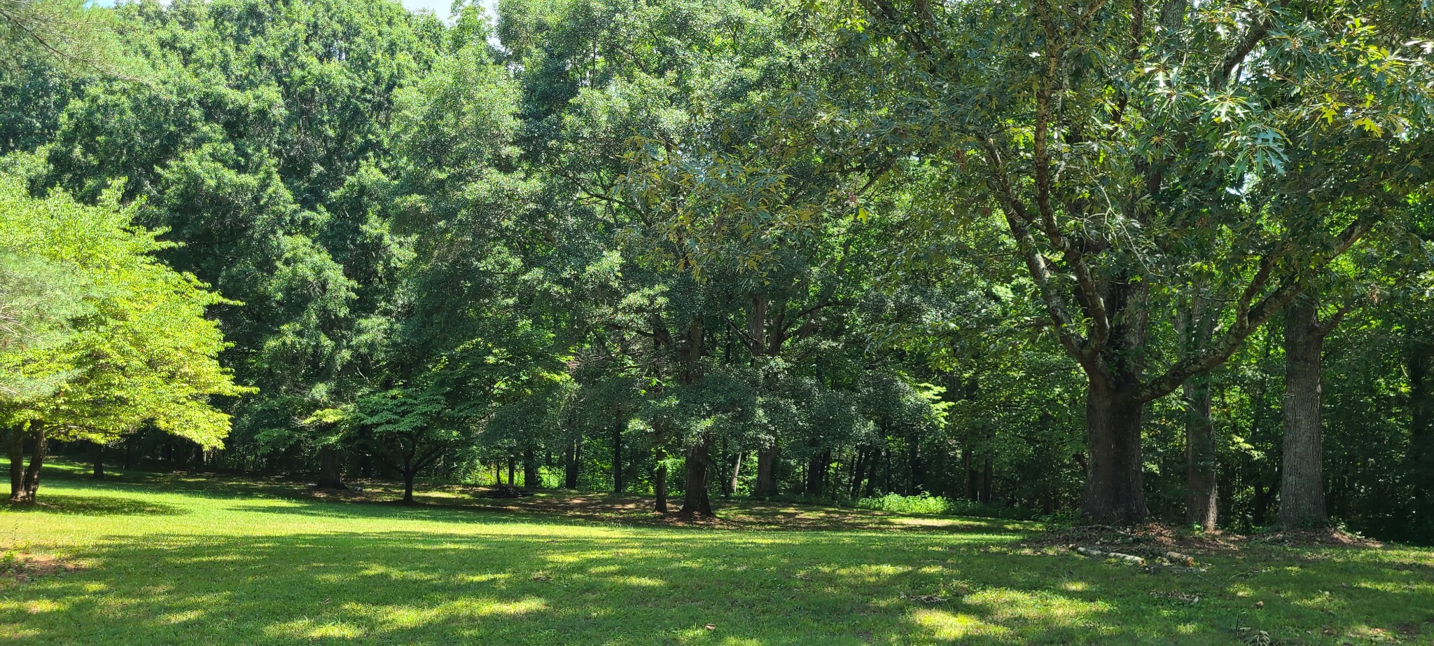 0 Paynes Church Road Estill Springs, TN 37330 - Photo 4 of 5 Gallery Image 4