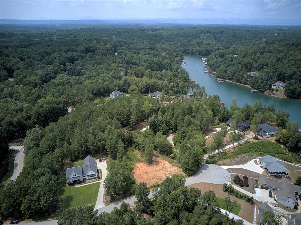 Lot 24 Reservoir Road West Union, SC 29696 - Photo 12 of 46 An aerial perspective reveals a serene lakeside community amidst a verdant forest canopy.
