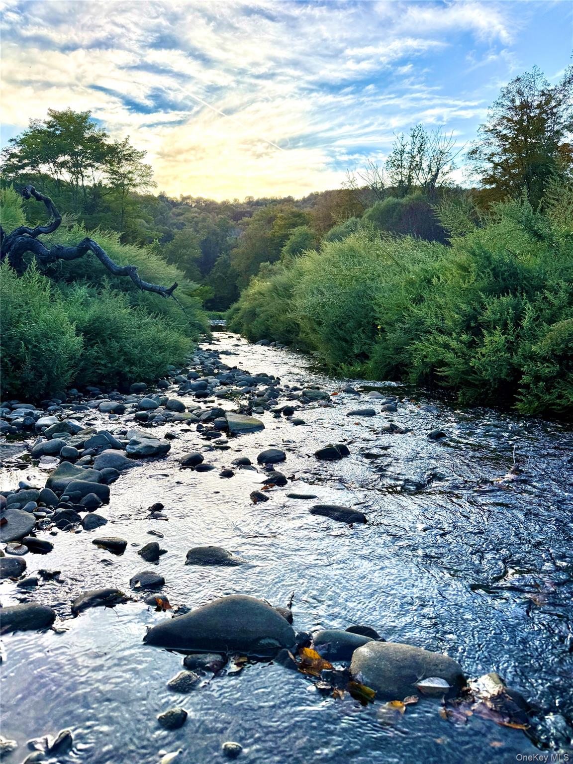 27 Hust Road Jeffersonville, NY 12748 - Photo 2 of 11 a view of a road with an outdoor space
