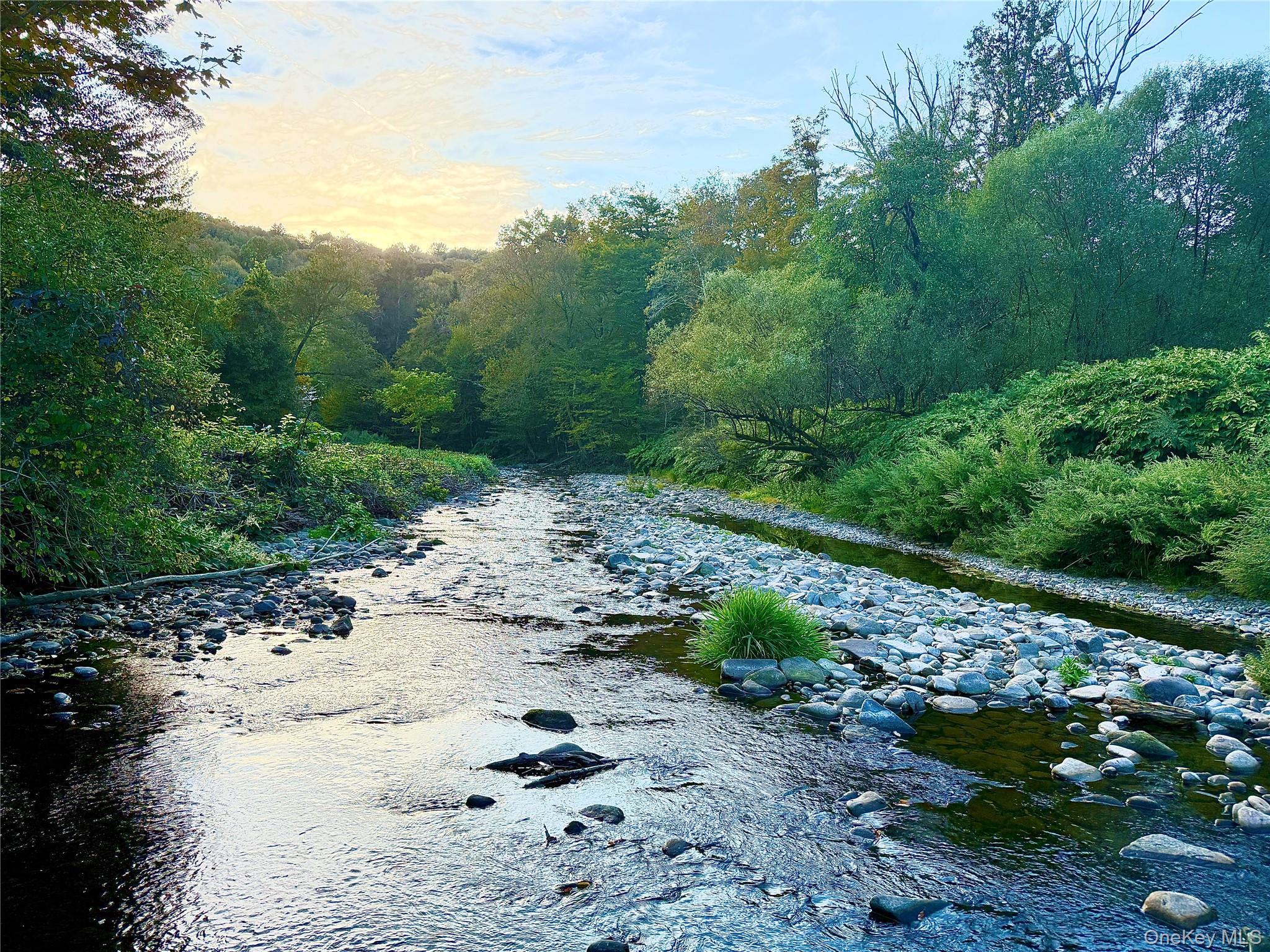 27 Hust Road Jeffersonville, NY 12748 - Photo 4 of 11 a view of a pathway with a park
