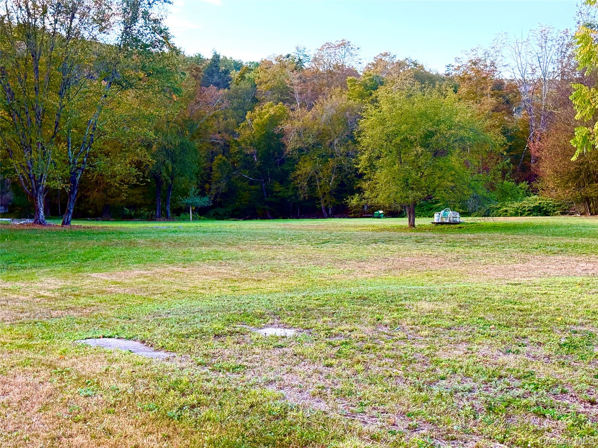 27 Hust Road Jeffersonville, NY 12748 - Photo 5 of 11 a view of a field with an trees