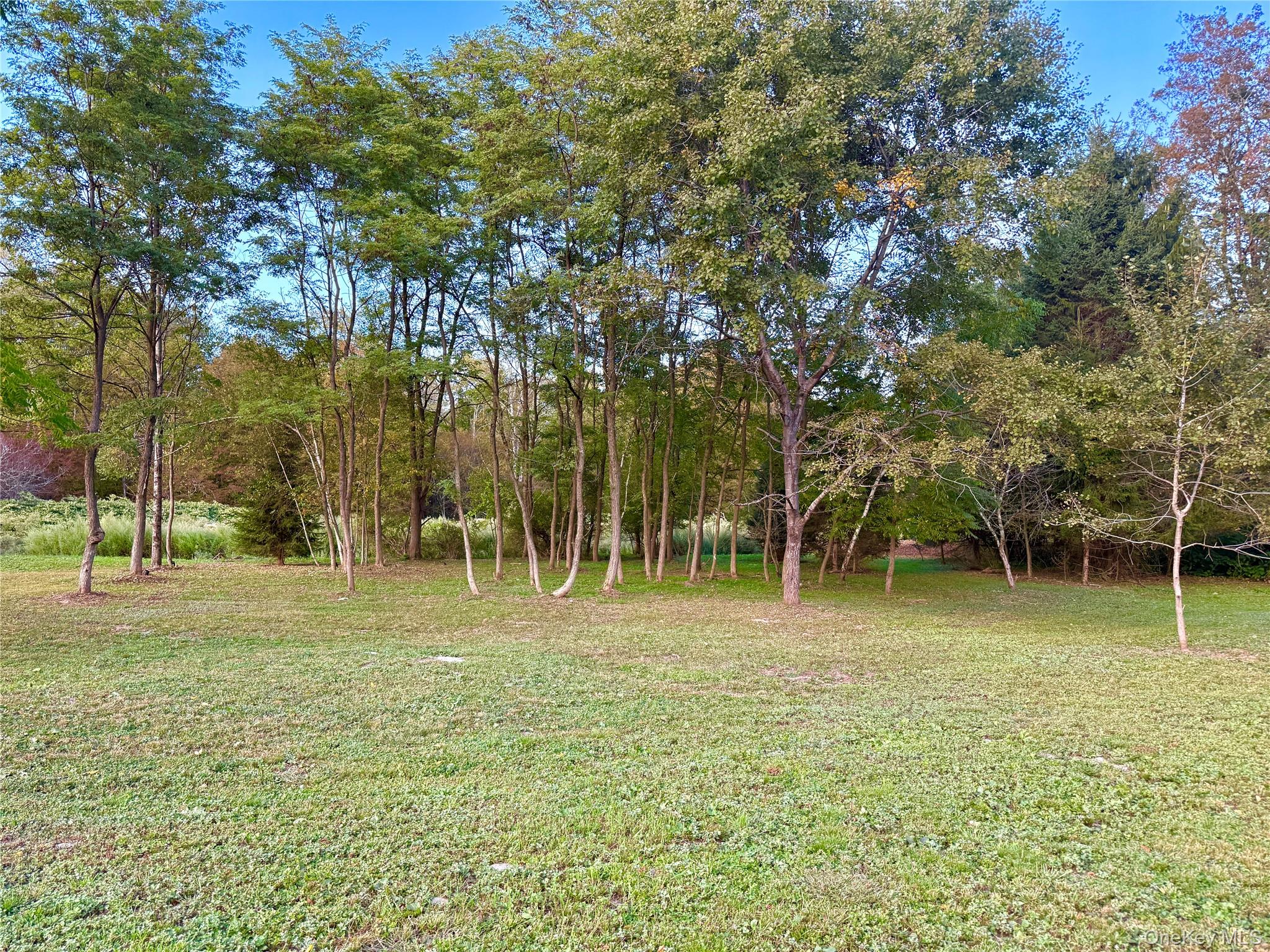 27 Hust Road Jeffersonville, NY 12748 - Photo 6 of 11 a backyard of a house with lots of green space and fountain