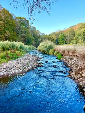 a view of a yard with an outdoor space