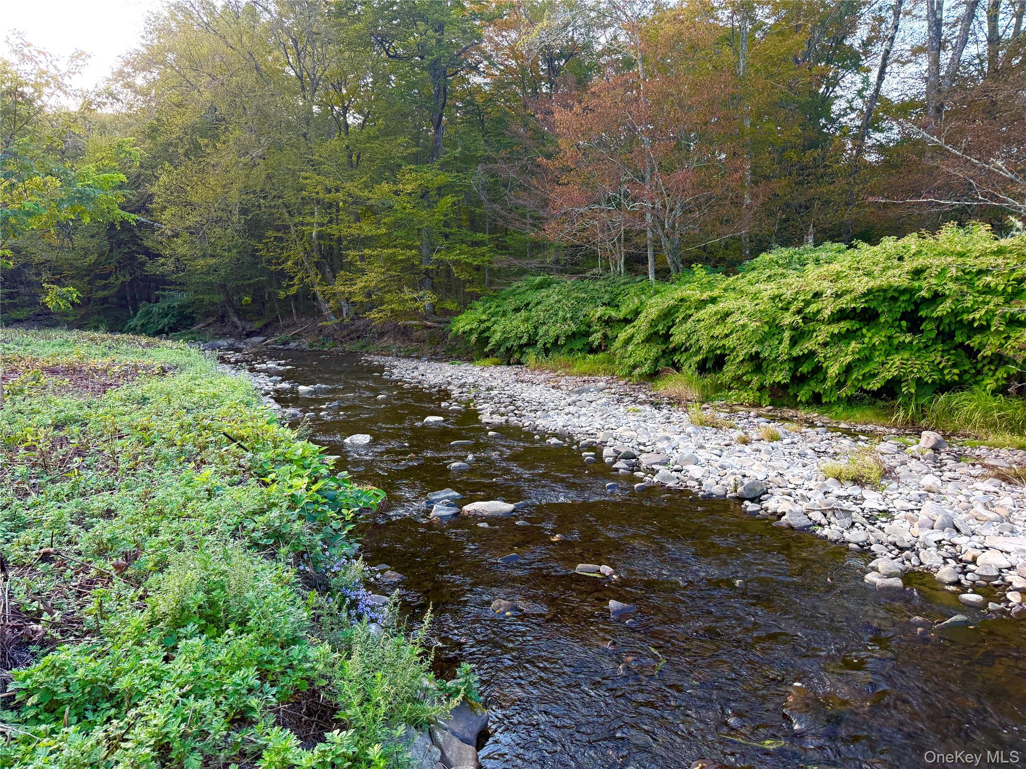 27 Hust Road Jeffersonville, NY 12748 - Photo 9 of 11 a view of a pathway both side of yard