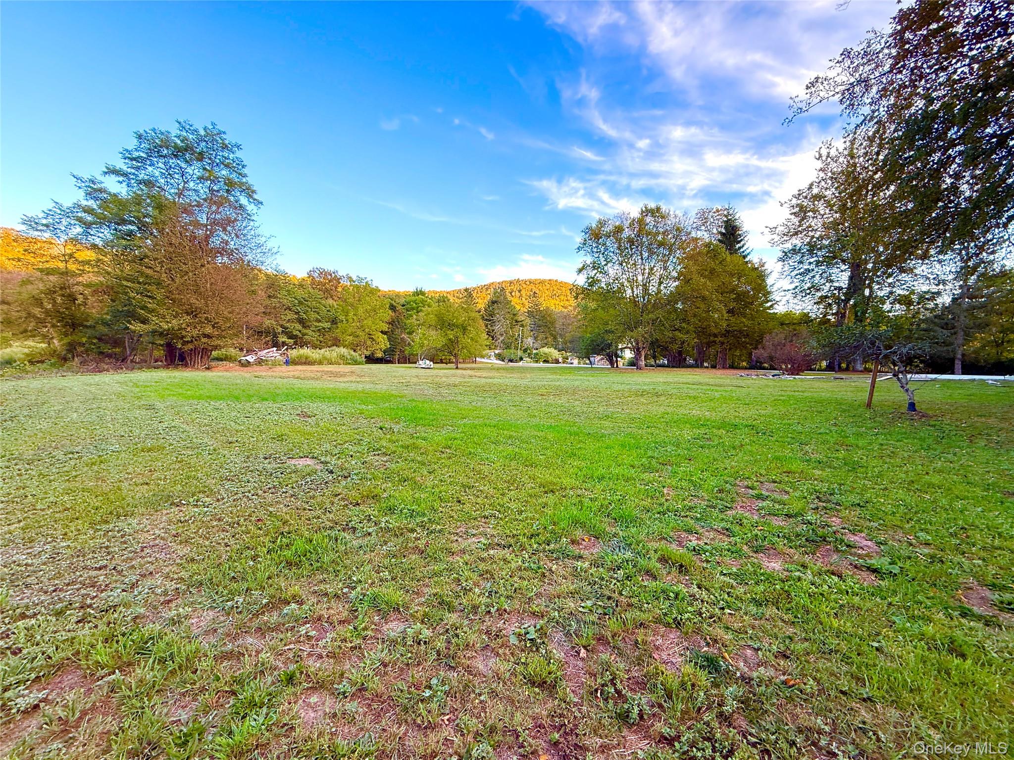 27 Hust Road Jeffersonville, NY 12748 - Photo 10 of 11 a view of an ocean with a big yard