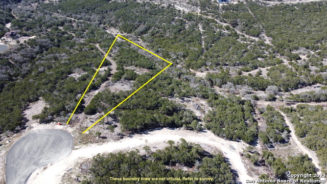 a view of a tree in a yard