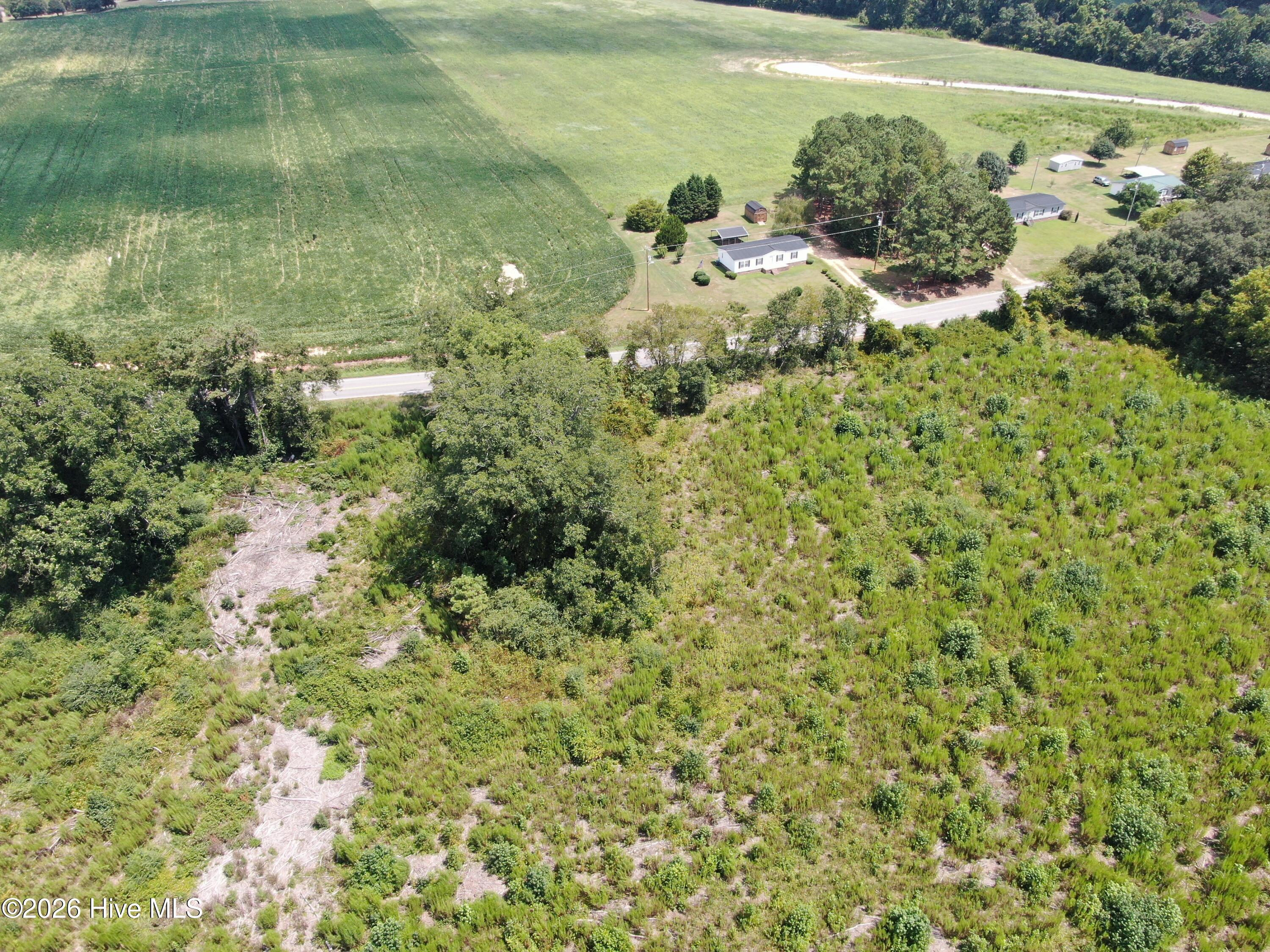 Tbd Chicken Road Fairmont, NC 28340 - Photo 22 of 30 Gallery Image 22