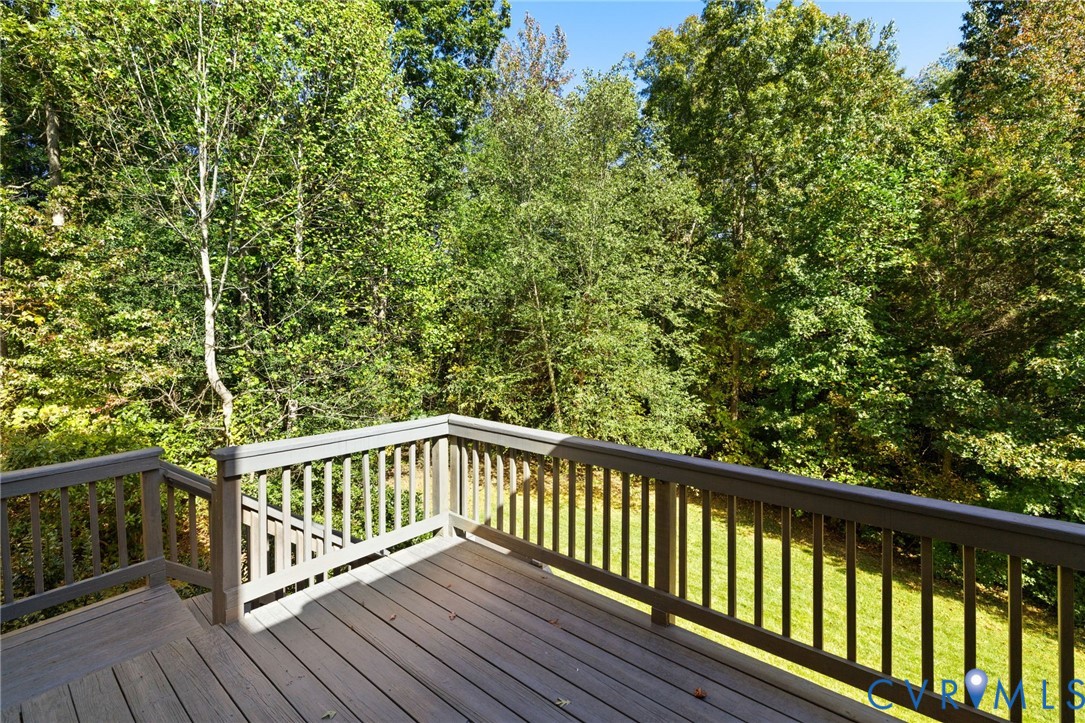 12256 Hampton Valley Terrace Chesterfield, VA 23832 - Photo 41 of 45