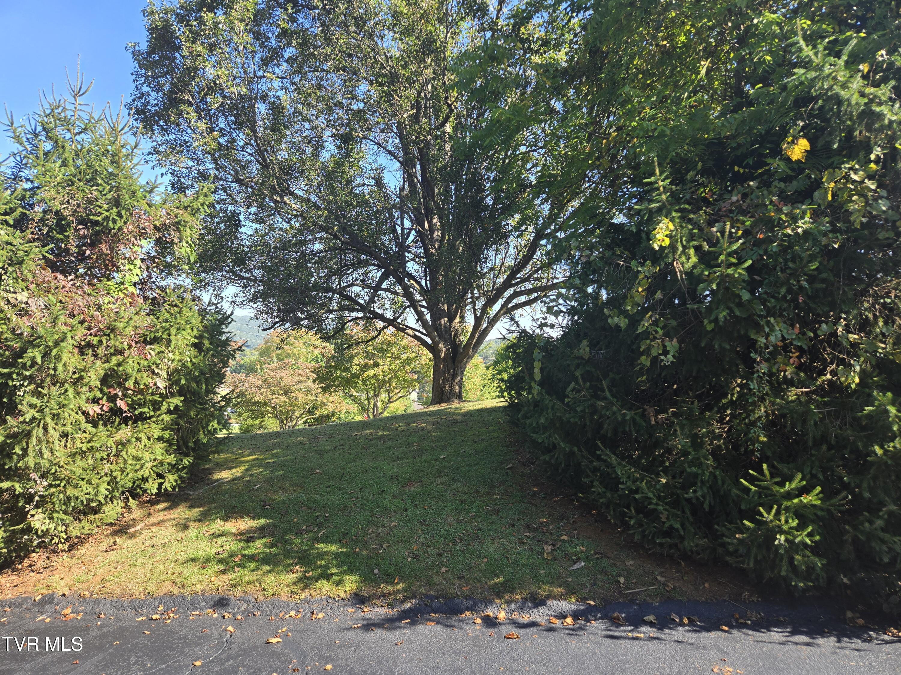 720 North Mohawk Drive Erwin, TN 37650 - Photo 35 of 39 20250920_110358