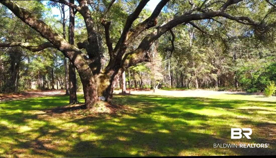 0 Collins Lane Foley, AL 36535 - Photo 3 of 13