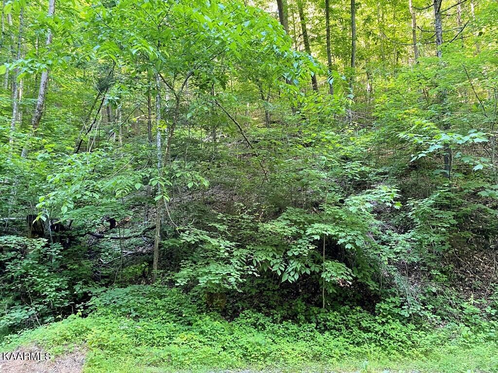 Lot 12 Sunset Road Sevierville, TN 37862 - Photo 14 of 18 249926_13