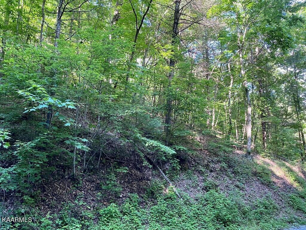 Lot 12 Sunset Road Sevierville, TN 37862 - Photo 15 of 18 249926_14