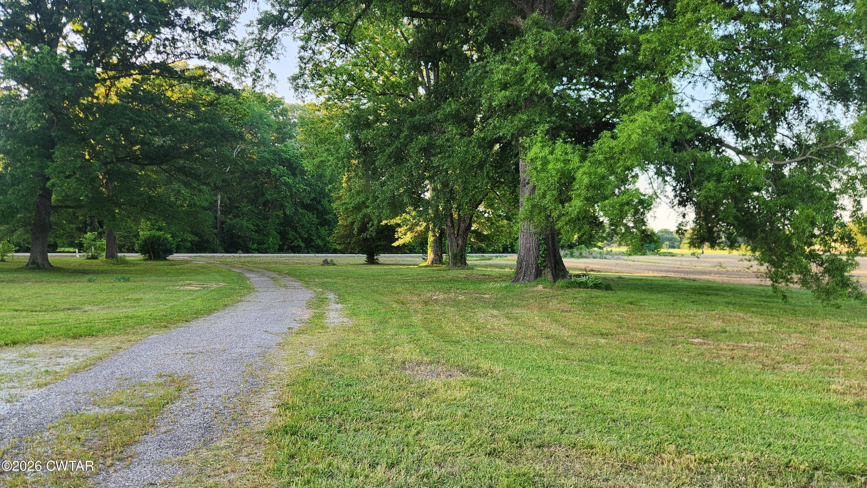 8633 Stanton Koko Road Stanton, TN 38069 - Photo 10 of 10 a view of grassy field with benches