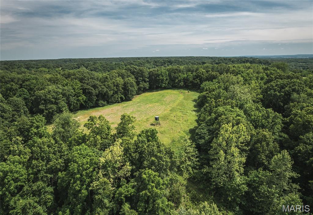 1757 Infidel Hollow Road Mozier, IL 62070 - Photo 24 of 52