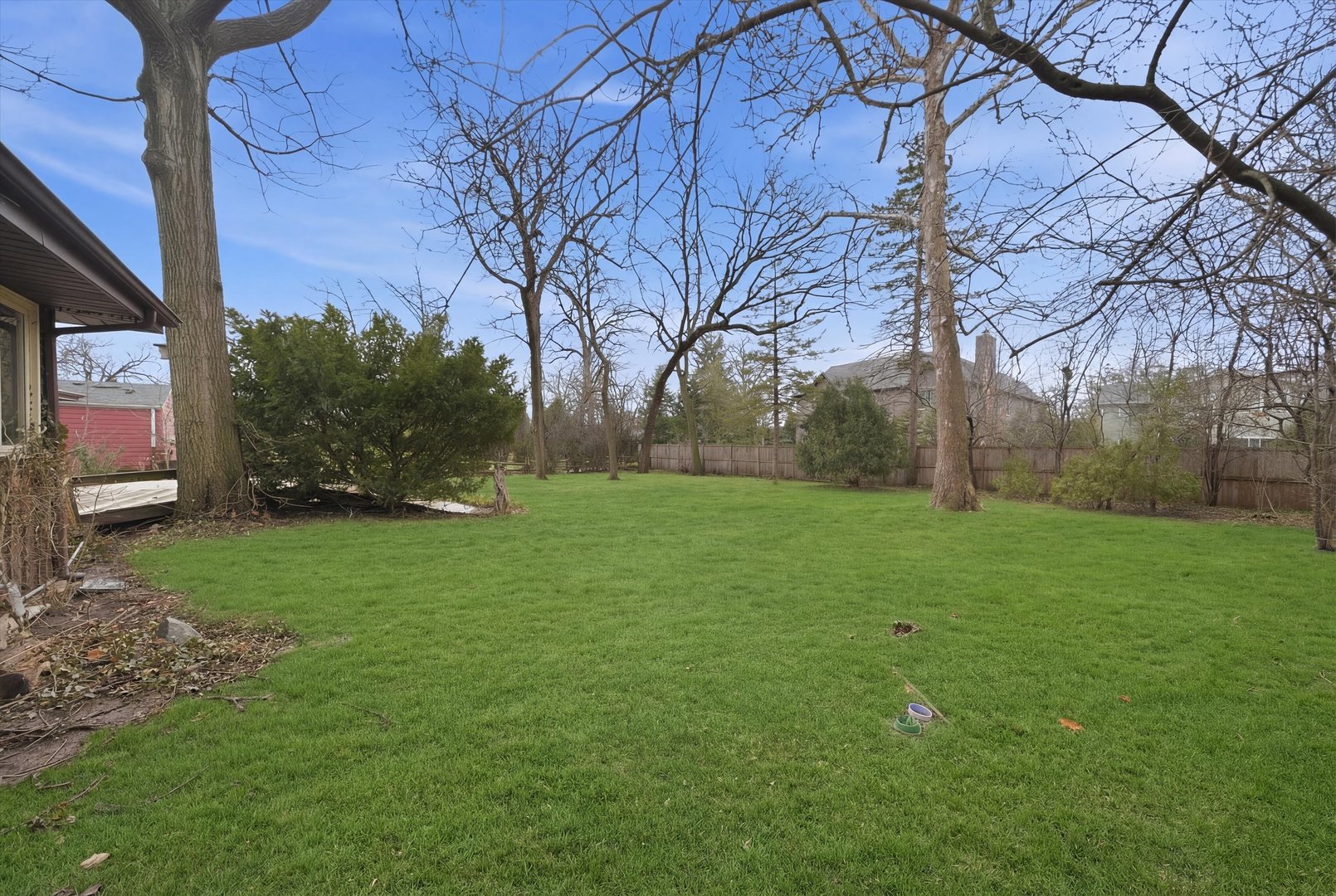 330 Ferndale Avenue Elmhurst, IL 60126 - Photo 29 of 36 a view of a backyard with large trees